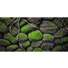 MIRRORANG 61x30cm Pietre di Muschio Terrario Acquario Sfondo Albero Radice Roccia Pesce Serbatoio Sfondo Barbuto Drago Vivarium Sfondo Vinile