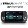 Trimui Smart Pro Console di gioco portatile Schermo IPS da 4.96'' Sistema Linux Joystick Illuminazione RGB Smartpro Lettore di videogiochi retrò Regalo