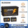 Batteria LiFePO4 al Litio Ferro Fosfato 12.8V 300Ah 3840Wh, con BMS Integrato, Celle di Grado A+, 15000 Cicli Profondi, Ampia Gamma di Temperature, Espandibile 4P4S per Camper, Sistemi Solari,