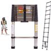 DayPlus Scala Telescopica Multiuso in Acciaio Inox 3,8m/12,5FT - Capacità di Carico 330lbs, Certificata EN131, Compatta e Portatile