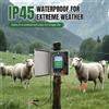 NONE Energizzatore per Recinzione Elettrica Solare 10KM 1.5-2J per Bestiame e Animali Domestici 230V/12V/Solare Alimentazione Tripla