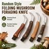 NONE Coltello Pieghevole per la Raccolta di Funghi con Spazzola per la Pulizia, Stile Casuale, Strumento Portatile per Campeggio, Escursionismo e Raccolta nel Bosco