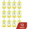 CHANTE CLAIR Confezione da 12 Chanteclair Piatti Lime e Zenzero 500 ml, detersivo liquido per stoviglie, formato scorta per cucina e uso quotidiano