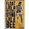 Close Up - Poster Mohammed Ali (61cm x 91,5cm) + Poster Bora Bora in regalo