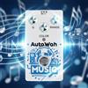 For Rowin RE-08 Auto Wah Pedale Lega di Zinco Custodia Chitarra Basso 15
