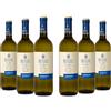 BotteBuona Vino Bianco Trebbiano Rubicone IGT, Gusto Fresco e Profumi Floreali, 11% Vol, Confezione con 6 Bottiglie da 750 ml