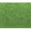 Faller 180755 - Tappeto erboso, 1000 x 2500 mm, Colore: Verde