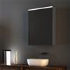 Leroy Merlin Pensile con luce Mirror specchiato L 60 x H 75 x P 17 cm