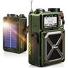 Rychi Radio DAB e FM portatile con Bluetooth 5.3, radio solare, batteria ricaricabile da 4000 mAh, radio a manovella con SOS, torcia, jack per auricolari, scheda SD, USB, radio a carica di emergenza
