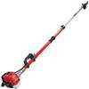 Blue Bird Potatore a scoppio telescopico blue bird ptt 261 asta 3-4,3 barra 34,2 cm 2t 25,4 cc