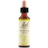 SCHWABE PHARMA ITALIA SRL Mustard Bach Orig 20 Ml