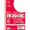 Pigna - Conf. da 40 Ricambi A4,80 gr,1R | con banda rinforzata salvabuchi