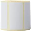 Brother White - 51 X 26 Mm 500 Etichetta(e) (1 Rotolo(i)