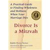 Perry Netter Divorce Is a Mitzvah (Tascabile)