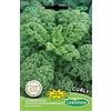 Germisem Curly Semi di Cavolo 3 g
