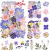 Dog's Booty Fiori Secchi Decorativi Naturali ed Essiccati per Resina, Decorazioni di Gioielli e Artigianato Fai da Te (Viola)