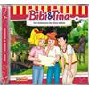 Bibi und Tina Folge 85: Das Geheimnis der Alten Mühle (CD)