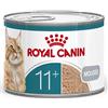 ROYAL CANIN Ageing 11+ AirLift 12x85g cibo umido, mousse per gatti maturi, oltre 11 anni
