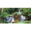 MIRRORANG 120x46cm Cascata Terrario Sfondo Foresta pluviale Acquario Sfondo Piante Tropicali Albero Verde Rettile Habitat Sfondo Vinile Durevole Sfondo