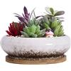 ARTKETTY Vaso per Piante Grasse, Vaso Bonsai Grande con Vassoio di Drenaggio in Ceramica per Piante Cactus da Interno Vaso Fioriera Rotondo