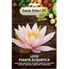 SEEDS SELECT PRO Seeds Select 3S Pro Semi di Loto, Pianta Acquatica, Fiore di Loto Rosa