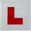 AA Auto Essentials L Piastre magnetiche (1 Coppia)