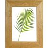 Cornice da muro Warren noce chiaro 30x40 cm
