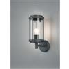 Applique da esterno LED Tanaro 14x32 cm antracite