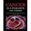 Hugo Ball Cancer Is a Parasite, Not A Disease: What If Everything You've Been Told About Cancer Is a Lie?: Alternative Cancer Treatment and Parasite Cleanse Book