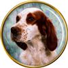 Irlandese Rosso e Bianco Setter Cane Distintivo di Lapel Pin