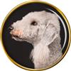 Bedlington Cane Terrier Distintivo di Lapel Pin