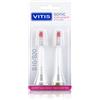 DENTAID Srl Vitis Sonic Testina di Ricambio Gingival S10/S20, 2 Pezzi - Gengive Sensibili, Spazzolino Elettrico, Setole Delicate