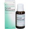 GUNA Heel Ferrum Homaccord Gtt 30ml Guna