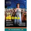 Dynamic Norma: Macerata Opera (Gamba) (DVD) Various Rubens Pelizzari Nicola Ulivieri