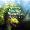 Tyler Ramsey A Long Dream About Swimming Across the Sea (CD) Album