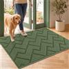 Biscpro Zerbini per Ingresso Interno,60x90cm Tappetino Antiscivolo Lavabile in Lavatrice,Zerbino d'Ingresso Polipropilene Assorbenti per Interno,Ingresso,Esterno,Corridoio,Balcone-Verde
