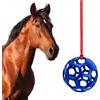 Tokaneit Mangiatoia Sospesa per Fieno,Giocattolo per Cavalli Ø 14 cm | Blu,Materiale TPR,Riempibile con Fieno e Dolcetti,Include un Cordino per Appenderlo,per Cavalli,Capre,Pecore