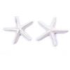 Hervit Box 2 Stelle Marine Porcellana