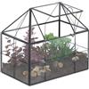 Relaxdays Terrario Piante, Mini Serra in Vetro e Rame, HLP 21x23x14 cm, Piantine Grasse e Muschi, Vaso Ecosistema, Nero