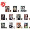 Bandai Raro one piece Absolute Justice Kuji 2024 Trasparente Raccoglitore Set Di 11 Da
