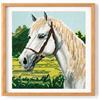 Trimits Kit grande per punto croce contato - Disegno di un cavallo bianco su tela Aida 11 count (30 x 30 cm) con filo, ago, schema a colori e istruzioni
