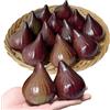 Laiiqi 12 fichi finti realistici realistici frutta finta decorazione di fichi artificiali fichi finti ciotola di frutta riempitivo per casa cucina decorazione tavolo fotografia puntelli