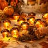 Taechalingo Catena luminosa con ghiande autunnali, 2 m, 20 LED, per esterni, a batteria, luce decorativa per il Ringraziamento, Natale, matrimoni, feste di compleanno, per fiori, terrazze, matrimoni