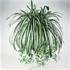 SPORTARC Arredamento della casa/giardino della pianta del ragno dell'orchidea del clorofito artificiale di seta falso