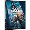 FOX Maze Runner - La Rivelazione (DVD)