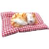 Generico Giocattoli Divertenti Gatto Che Dorme Giocattolo Mini Gatto con miagolii Suoni Che Dorme Carino Gattino Giocattoli decori per Bambini Ragazzi Ragazze 623