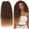 Ser Mulher Extension Capelli Sintetici, Ricci per Crochet Braids, Lunghe: 65 cm - Peso: 300 g - Extension Capelli Clip, Ricci Morbidi Effetto Naturale, Natural Black Honey Blonde Degradee, RITMO
