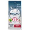 Generico Forza 10 Cane Medium/Maxi Adult Hypoallergenic MONO gusto PESCE alimento completo monoproteico per cani adulti di taglia grande, ipoallergenico, sensitive digestion,confezione da 10kg.