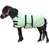 Leberna Coperta invernale per puledro e mini cavallo, 300D, traspirante, in miniatura, con fascia per la pancia (imbottitura da 150 g) (verde erba, L (90 - 100 cm)