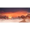 MIRRORANG 120x50cm Sole e Deserto Terrario Sfondo Arancione Rettile Habitat Sfondo Vinile Sfondo